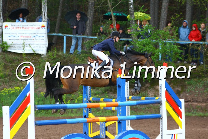 005L5278_Somani_Spring M mit Stechen.JPG